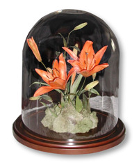 dried flowers preserved in dome